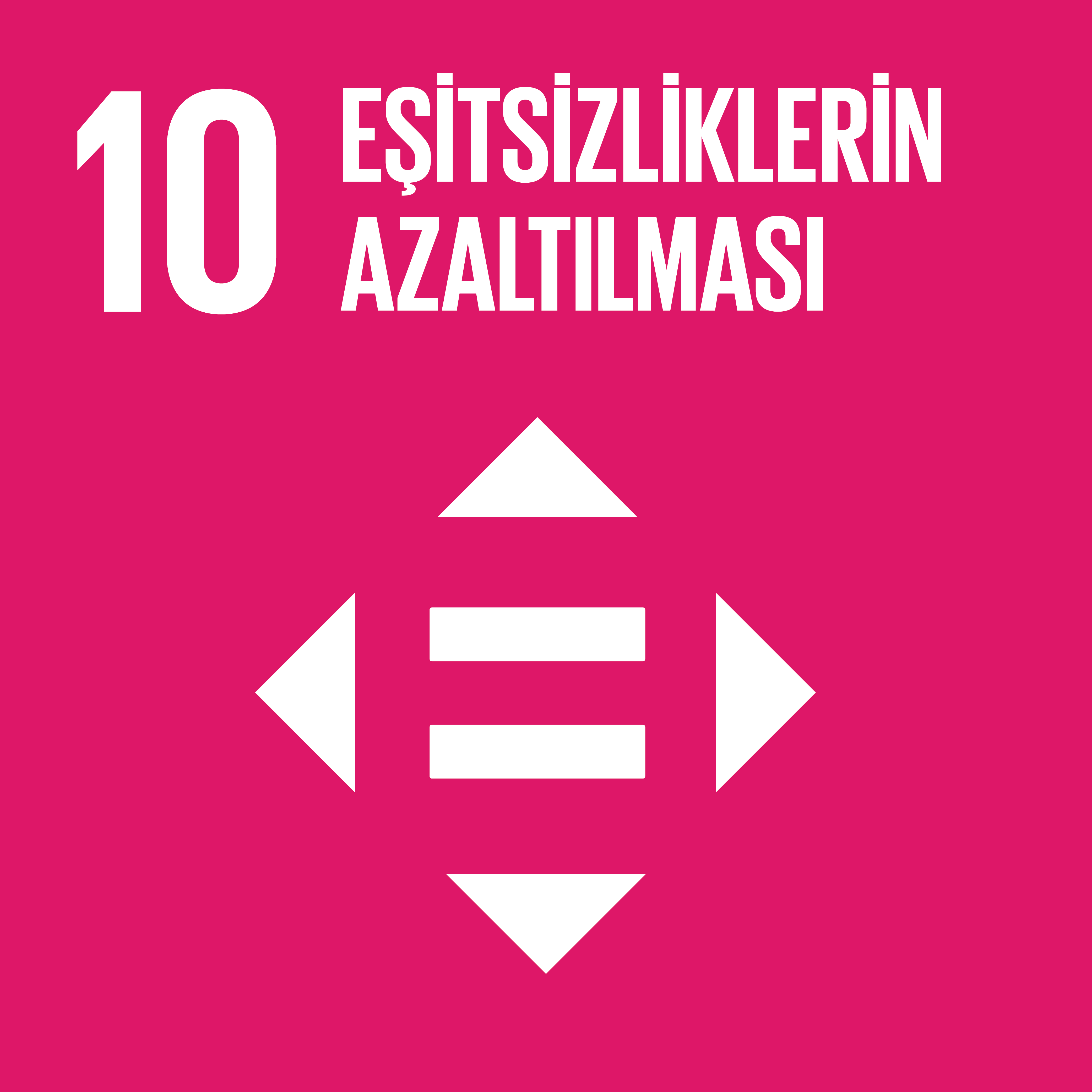 SDG10